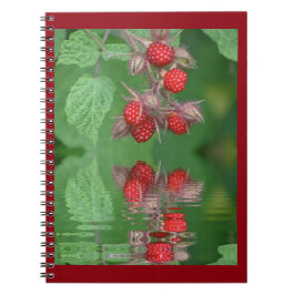Carnet Réflexions de framboise rouge