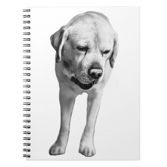 Carnet Réflexions sur l'encre (Devant)