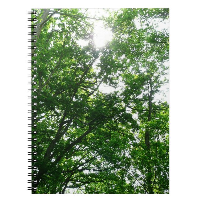 Carnet Regard sur les arbres d'été (Devant)