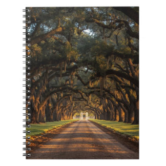 Carnet Registre en cuir King Ranch - Écriture western 