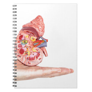 Carnet Remettez montrer le modèle avec à l'intérieur d
