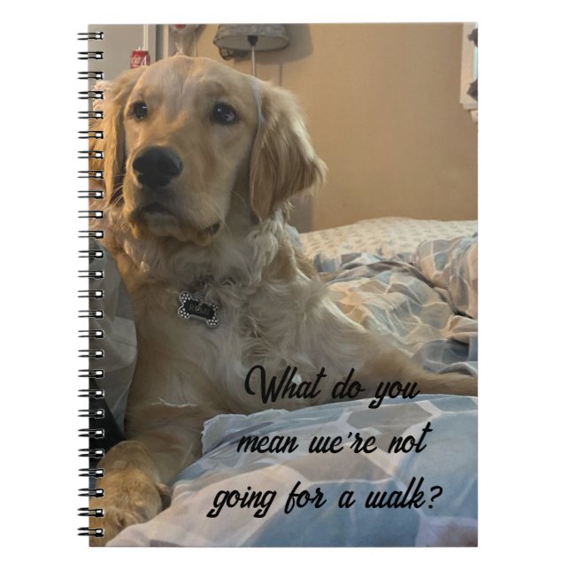 Carnet Remi the Golden Retriever (Devant)