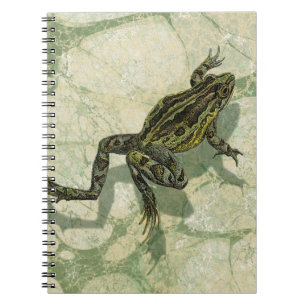 Carnet Remonter le crapaud dans l'eau