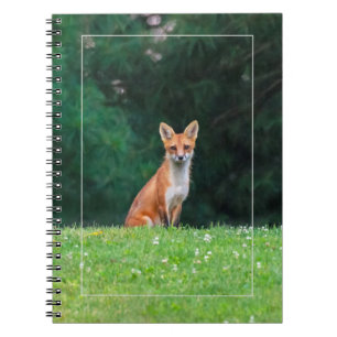 Carnet Ren mignon