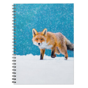 Carnet Renard en hiver. Renard rouge, Vulpes vulpes, reni