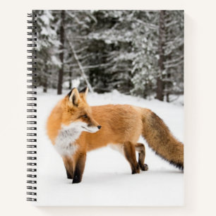 Carnet Renard rouge en neige blanche