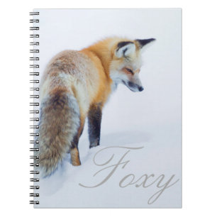 Carnet Renard roux en hiver