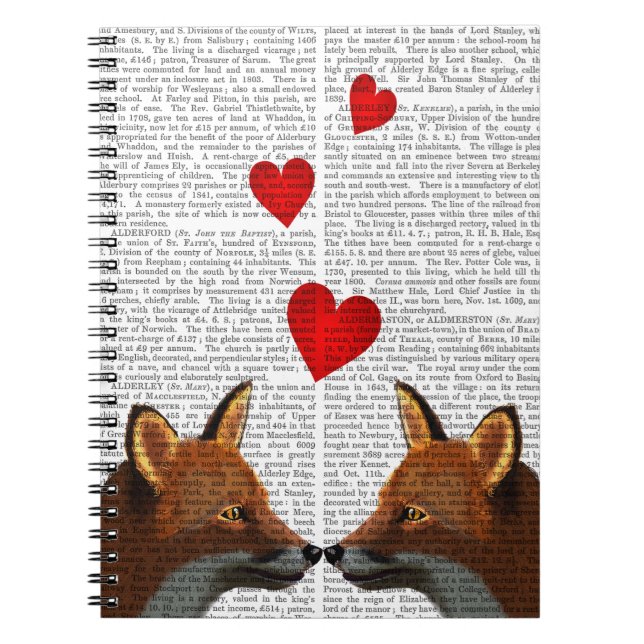 Carnet Renards amoureux (Devant)