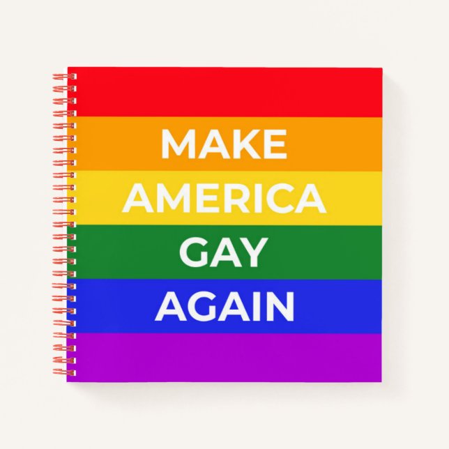 Carnet Rendre l'Amérique homosexuelle (Devant)