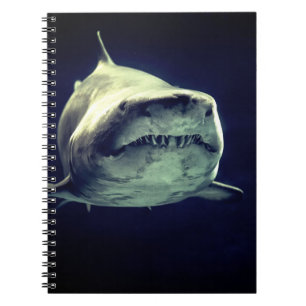 Carnet requin