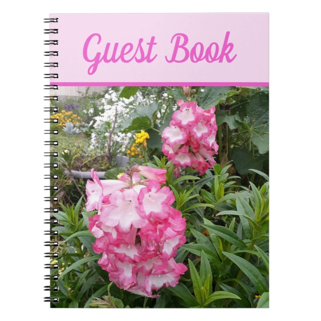 Carnet Réserver Penstemon Belle fleurs roses (Devant)
