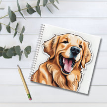 Retriever doré