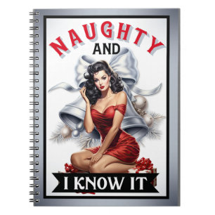 Carnet Retro Naughty et moi le savons Christmas Pinup