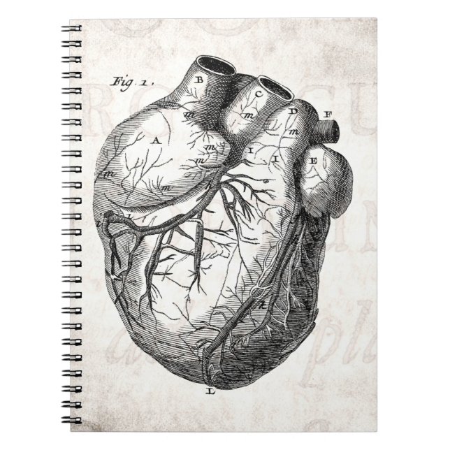 Carnet Rétros coeurs cardiaques d'anatomie de coeur (Devant)