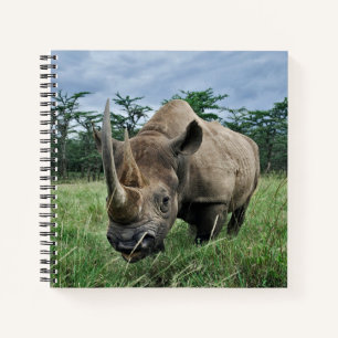 Carnet Rhinocéros noir   Kenya