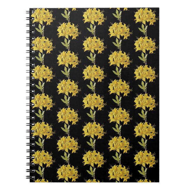 Carnet Rhododendron luteum (Azalée Pontique) (Devant)