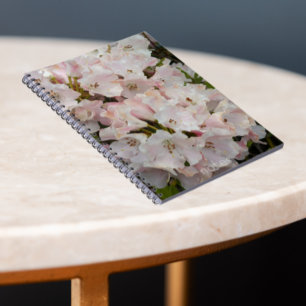 Carnet Rhododendron rose fleurit