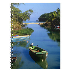 Carnet Rivière panoramique près d'Ocho Rios en Jamaïque
