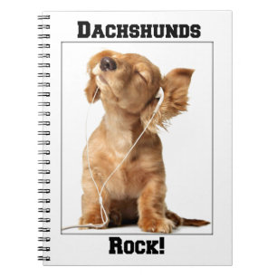 Carnet Roche de teckels