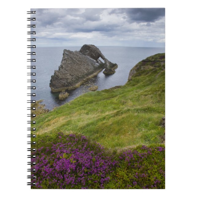 Carnet Roche de violon d'arc, Portknockie, Ecosse (Devant)