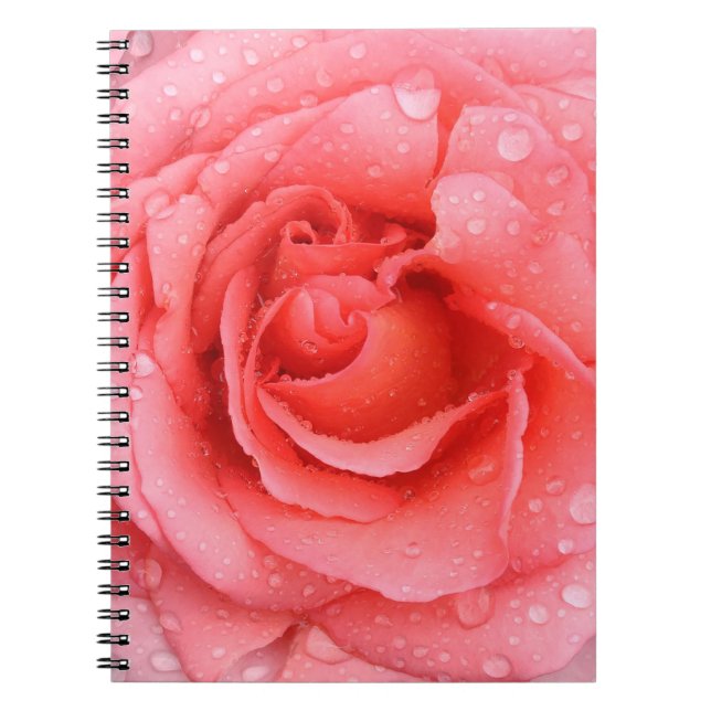 Carnet Romantique Rose rose rouge gouttes d'eau (Devant)