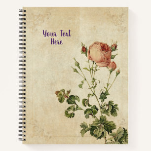 Carnet Rosa Centifolia - Chic Floral Cadeau