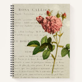 Carnet Rosa Gallica Regalis