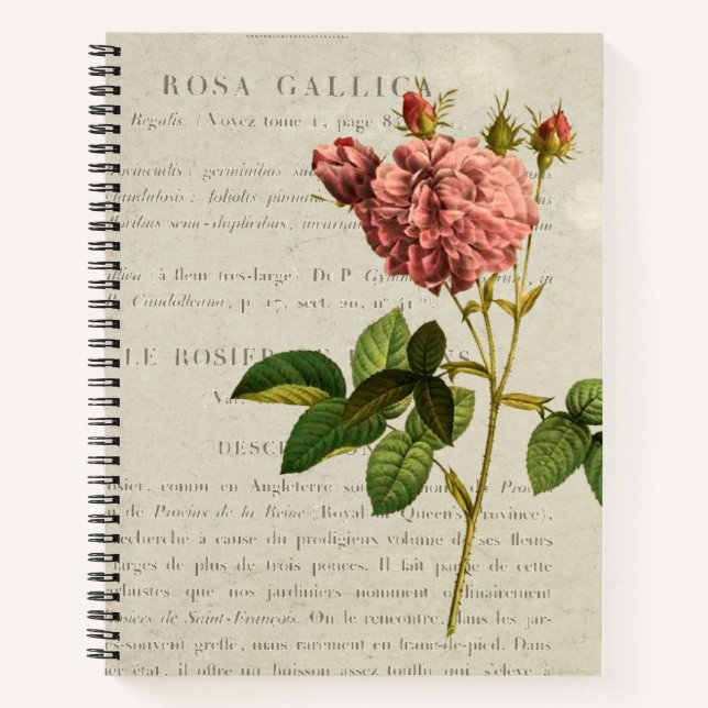 Carnet Rosa Gallica Regalis (Devant)