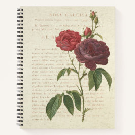 Carnet Rosa Gallica Vintage classique