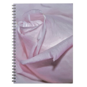 Carnet Rose blanc