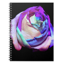 Carnet Rose cosmique