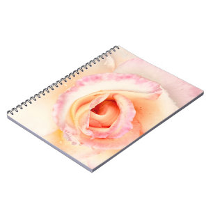 Carnet Rose de lait
