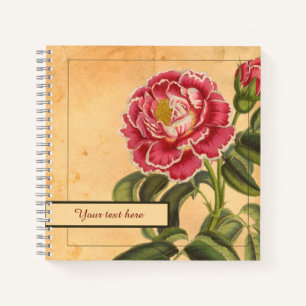 carnet Rose de Provence 8,5x8,5"