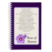 Rose de Sharon