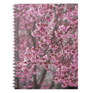 Carnet Rose débordant de fleurs de cerisier de Sakura