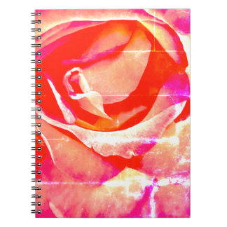 Carnet Rose design lumineux