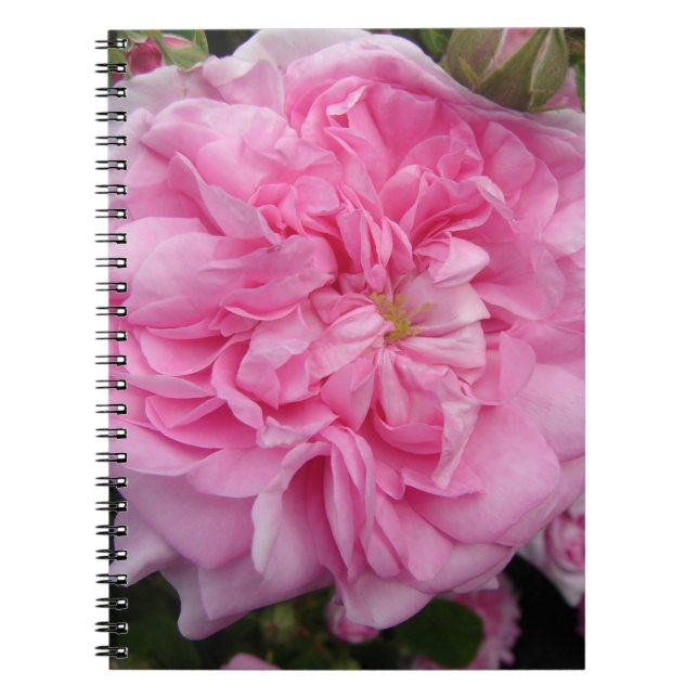 Carnet Rose florale vintage rose Fleurs (Devant)
