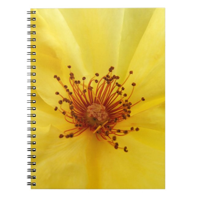 Carnet rose jaune (Devant)