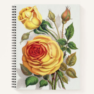 Carnet Rose Jaune et Orange de Crépuscule Botanique Vinta