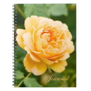 Carnet Rose jaune orange