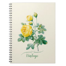 Rose jaune vintage