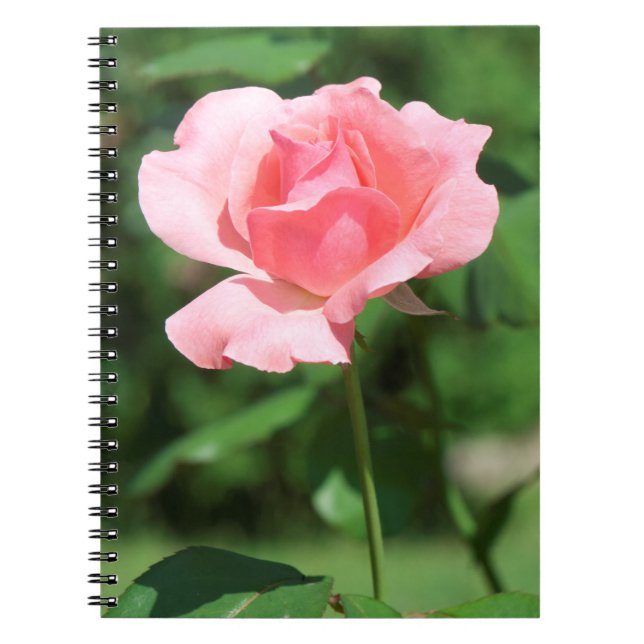 Carnet Rose pâle (Devant)