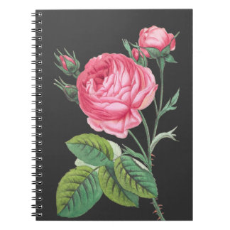 Carnet Rose rose florale moderne