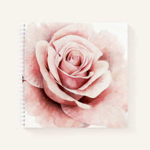 Carnet Rose rose rose