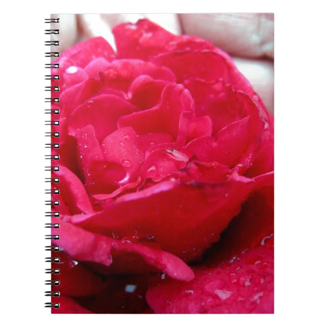 Carnet Rose rouge (Devant)