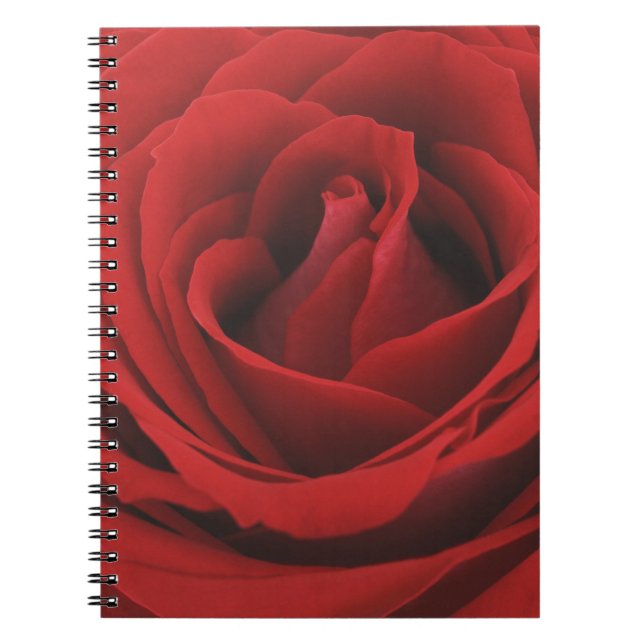 Carnet Rose rouge de floraison (Devant)
