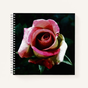 Carnet Rose rouge peinte à l'huile