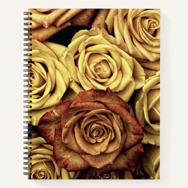 Carnet Rose sepiqué (Devant)