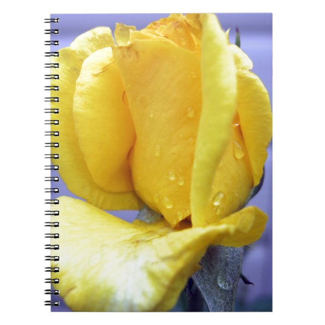 Carnet Rosebud jaune (Devant)