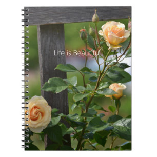 Carnet Roses de Pêcher Clôture Floral (ma photographie)